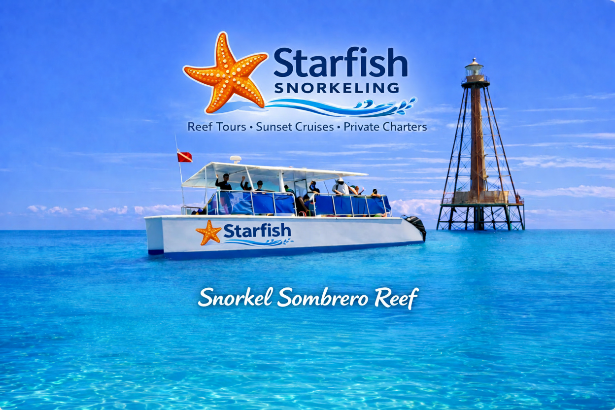 Starfish Marathon Snorkeling Tours